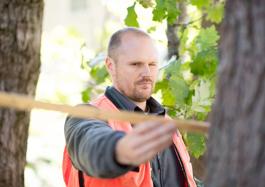 man in safety vest measuring tree