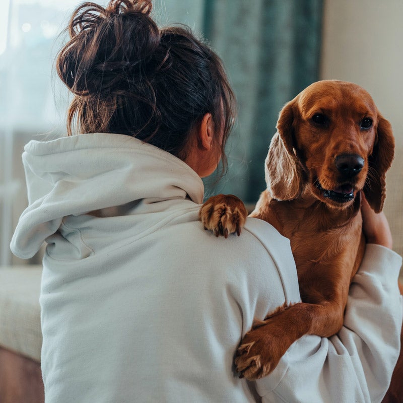 decorative - cozy woman and dog