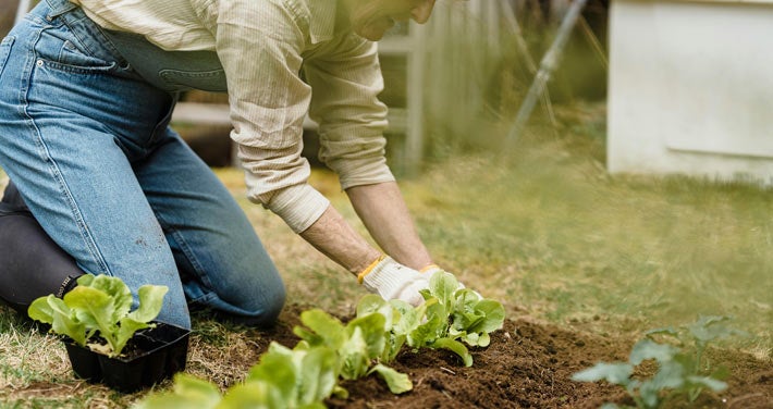 digging in the yard