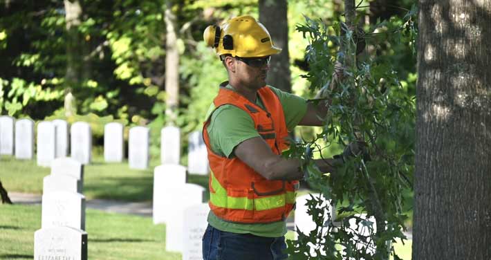 Unitil employee doing tree work