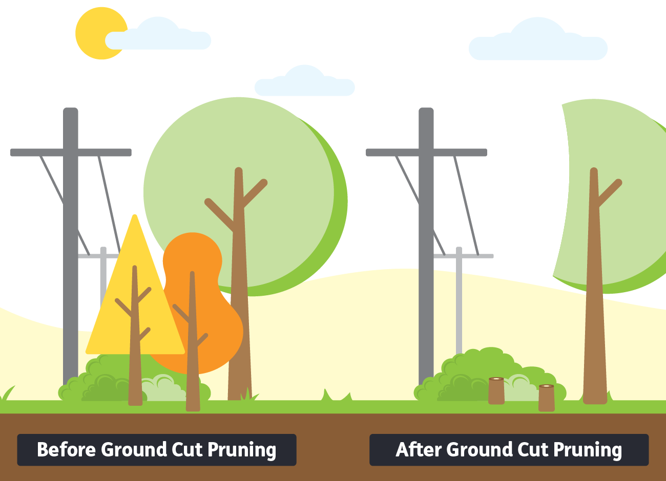 Graphic depicting ground cut pruning technique