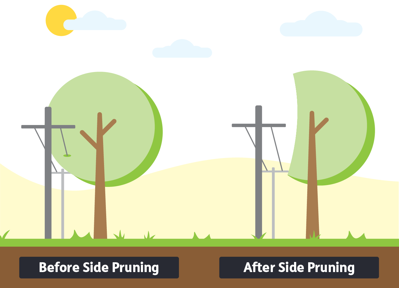 Graphic depicting side pruning technique