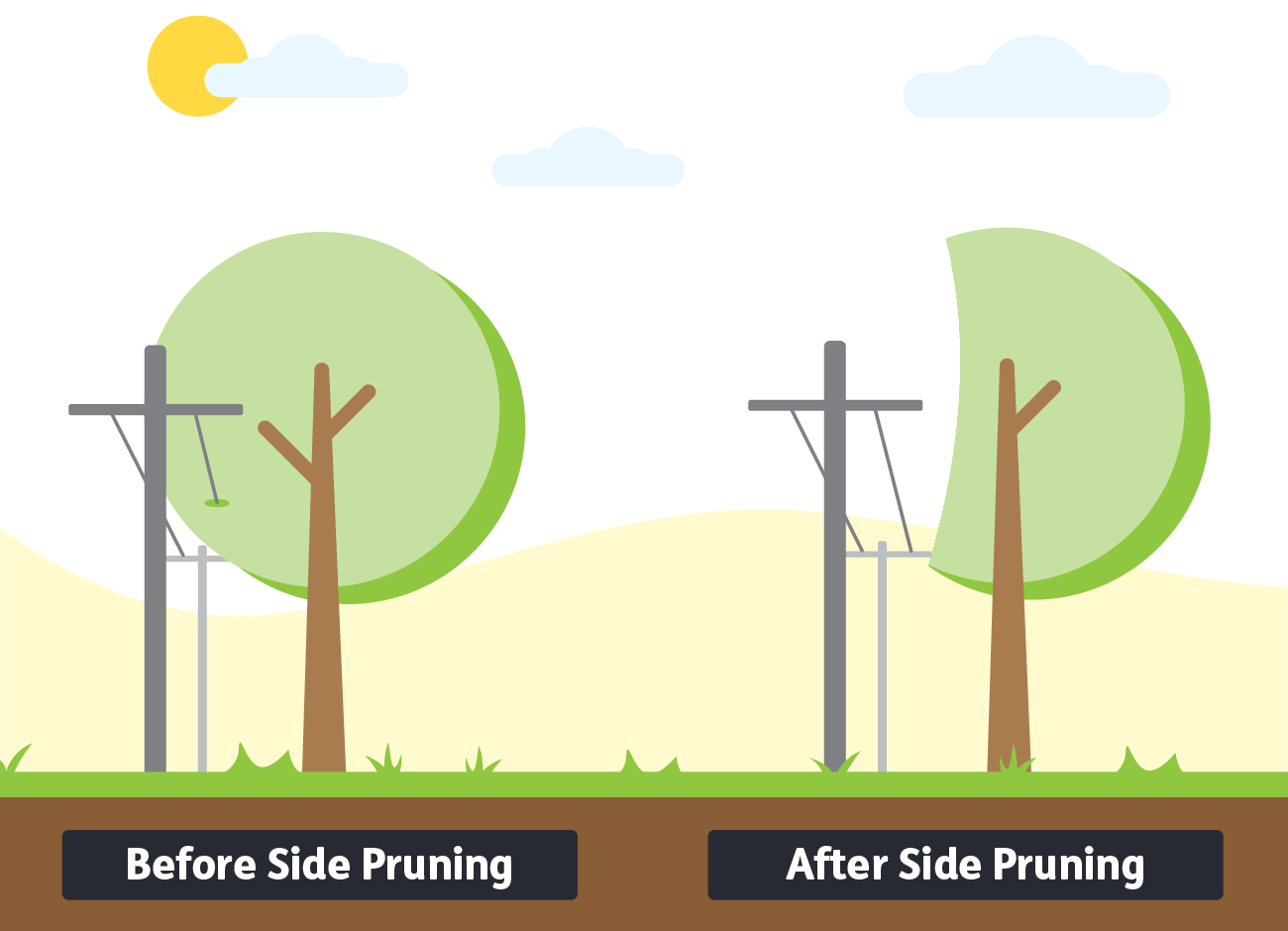 Principles & Practices for Pruning Trees