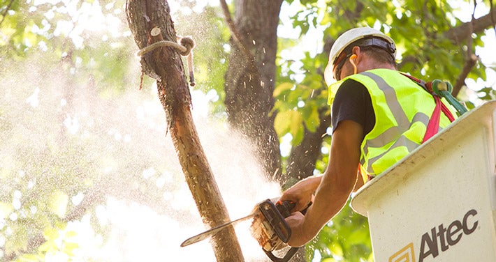Worker in work bucket using a chain saw on a tree