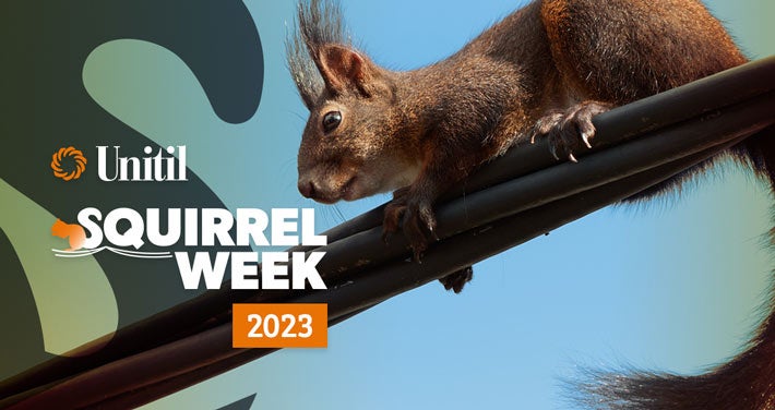 Unitil's squirrel week 2023