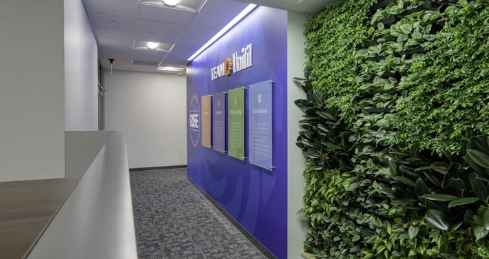 interior hallway of Unitil's Exeter location showing green plants installed in wall