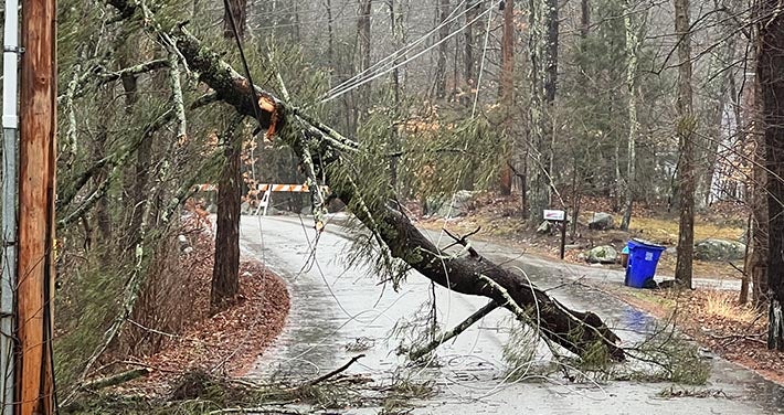 fallen tree covers street with downed wires