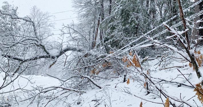 snow covered branch falls on power line