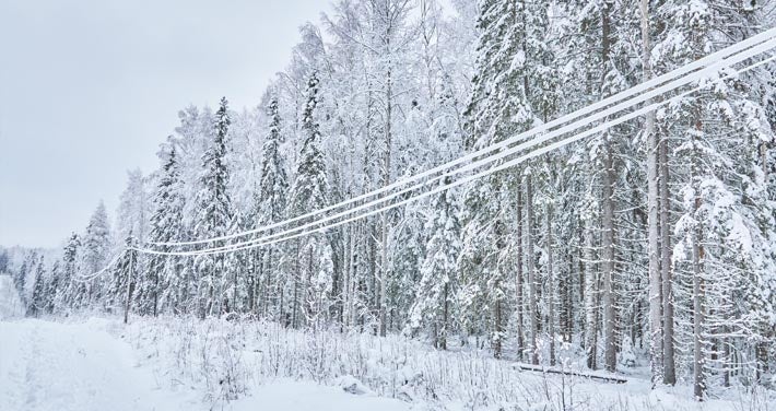 snow covers powerlines running through a forest clearing