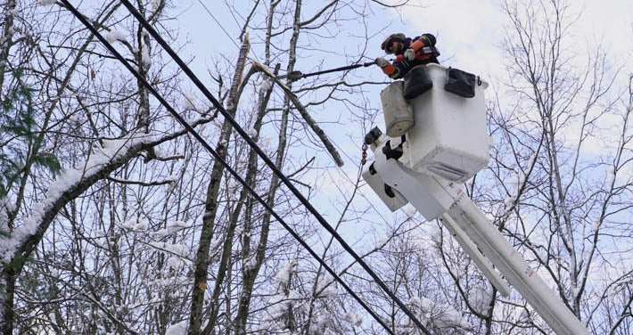 utility worker in bucket removing limb from powerline