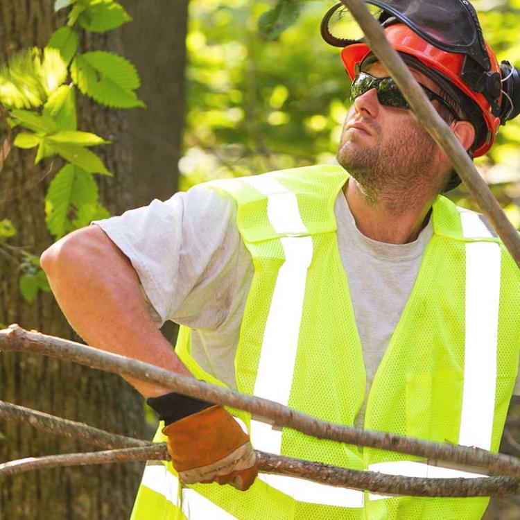 Unitil tree crew member