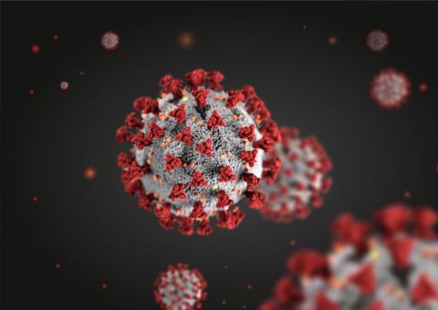 magnified view of coronavirus particles