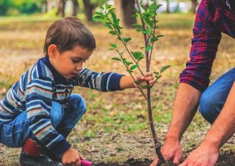little boy planting tree