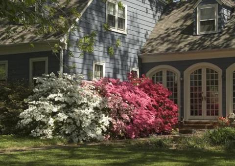 house with garden