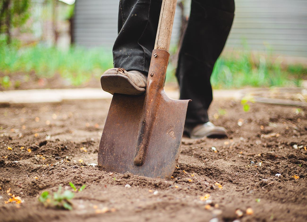 homeowner digging with shovel