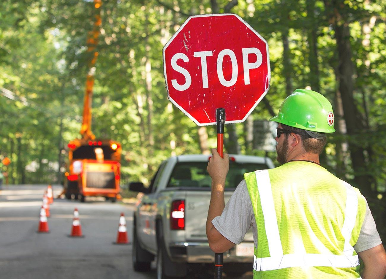 tree worker holding stop sign for traffic with utility tree work in background